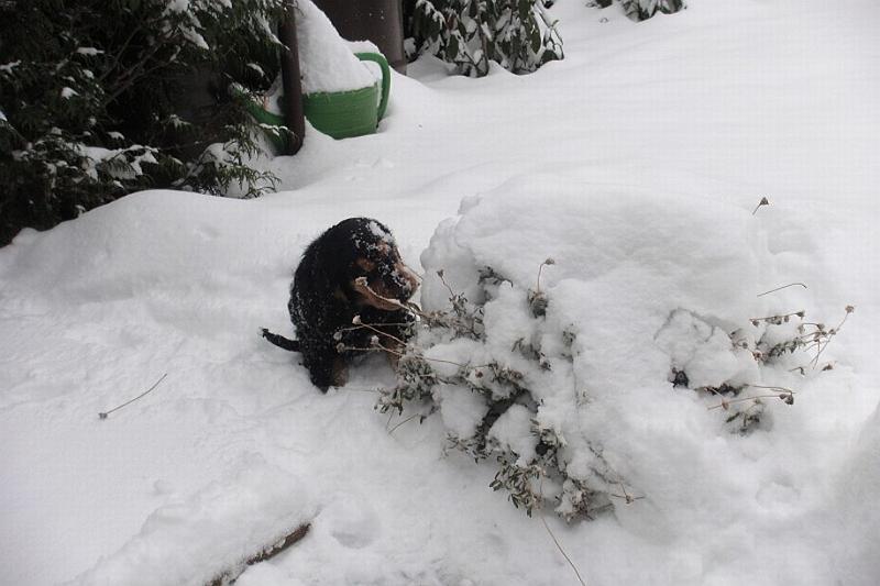 Art_25.1.2010 (17).JPG